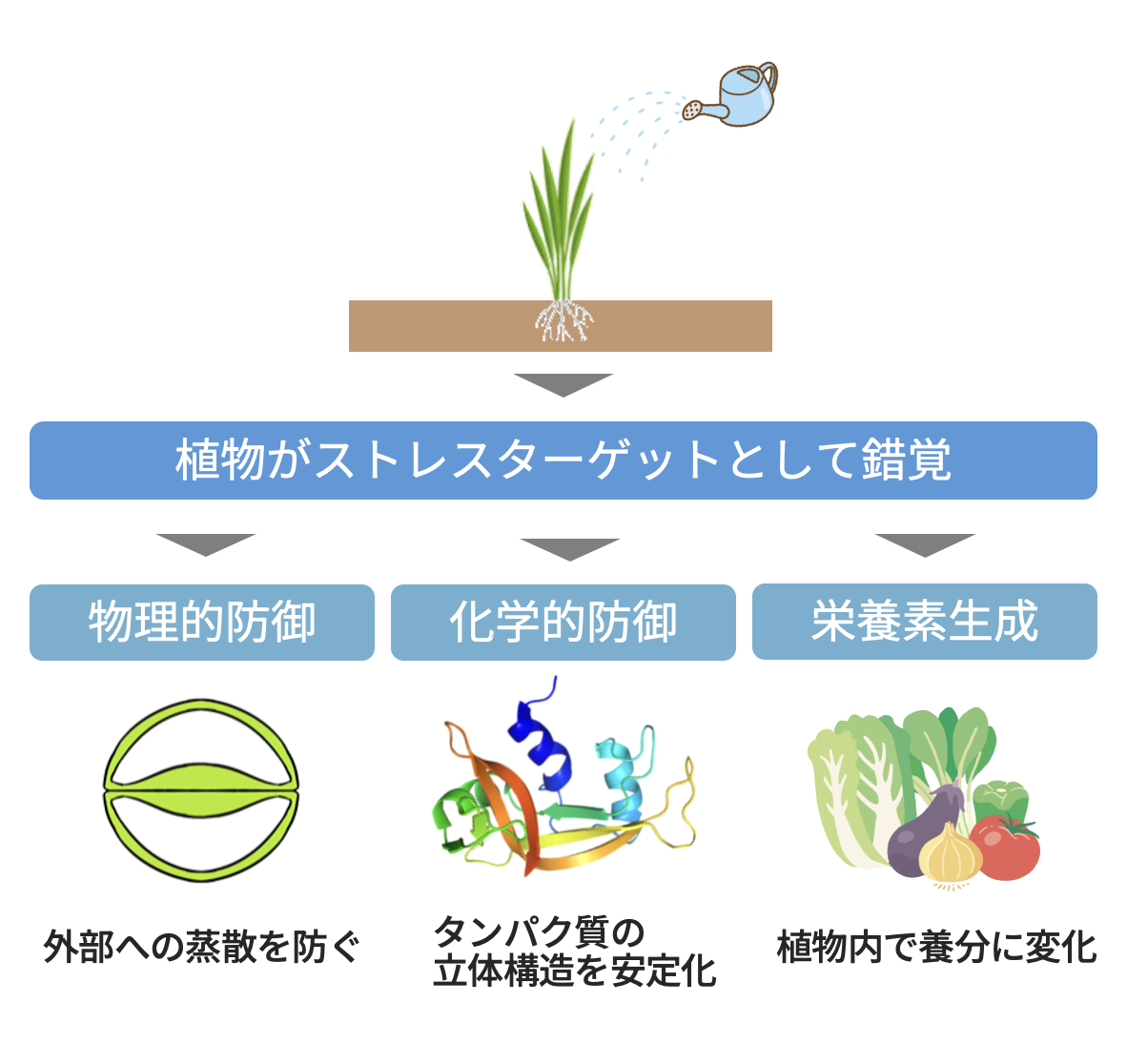 品質改善とストレス耐性